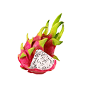 الجمال