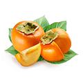 الرضع